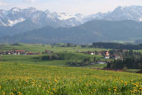 Blick auf die Tannheimer Berge