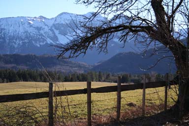 Natur pur